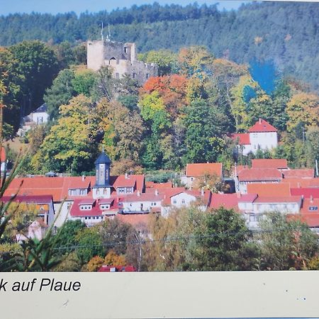 Ferienwohnung Burgblick Plaue  Экстерьер фото